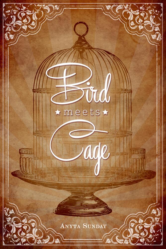Gay Romance Novel Bird meets Cage by Anyta Sunday