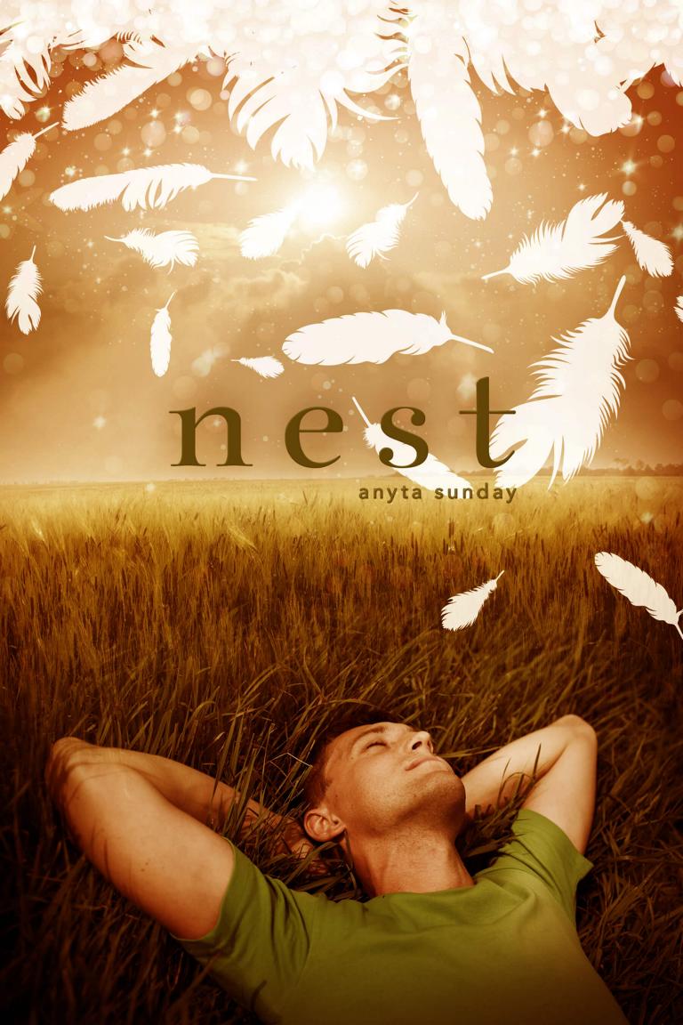 Gay Romance Novel Nest by Anyta Sunday